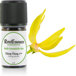 Huile-Essentielle-Ylang-Ylang-1ere-5ml-320x320